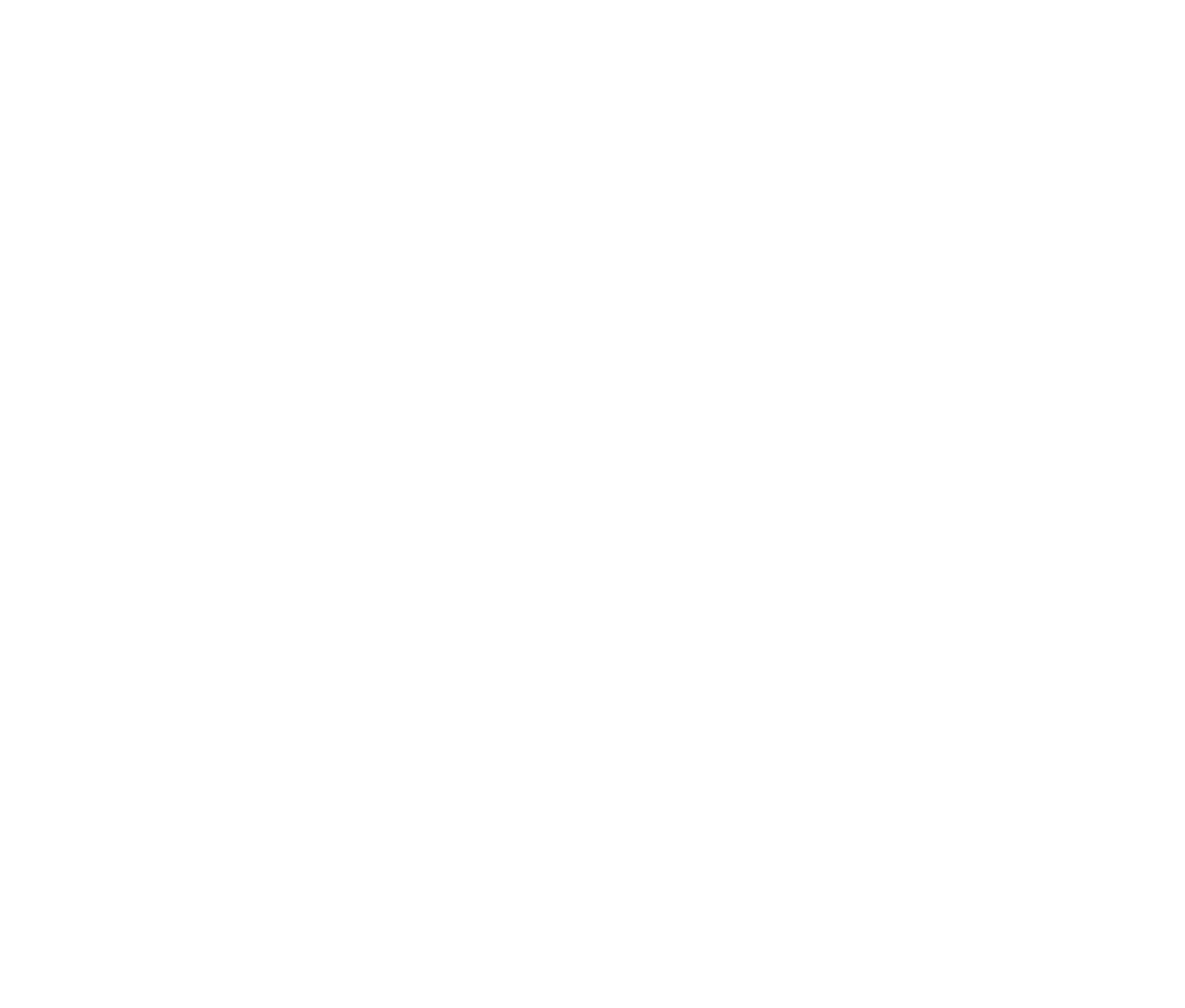 Portland Trail Blazers